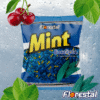 Bala Mint Eucalipto Mastigável Florestal 600g